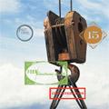 FOEM/Electronic Youth Vol. 15 - Part One - CONCATENATION front