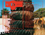 FOEM/Electronic Youth Vol. 15 - Part One - CONCATENATION back
